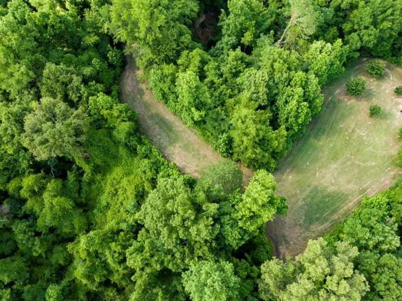 460 Acres-Big Haven Tract Yazoo Cou : Satartia : Yazoo County : Mississippi