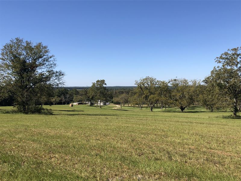Lot 3 Lee Road 400 : Beauregard : Lee County : Alabama