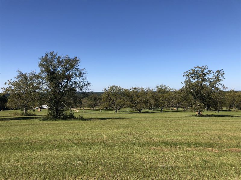 Lot 2 Lee Road 400 : Beauregard : Lee County : Alabama