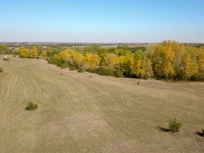 Brinkman's Paradise : Palmyra : Otoe County : Nebraska