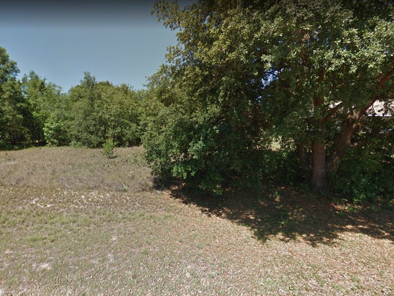Your Long-Term Investment in FL : Avon Park : Highlands County : Florida