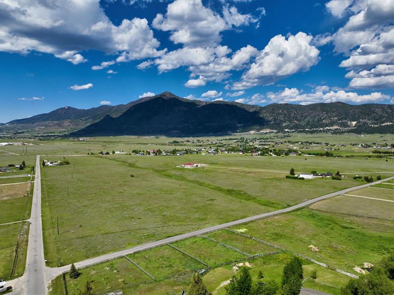 Horse Property on Ash Drive : Butte : Silver Bow County : Montana