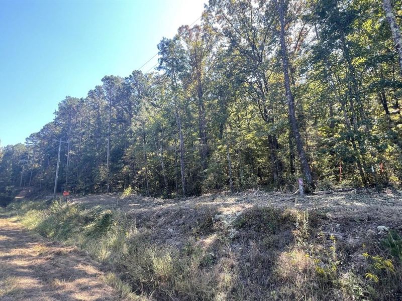 Brownsville Rd, Tract 1 : Greers Ferry : Cleburne County : Arkansas