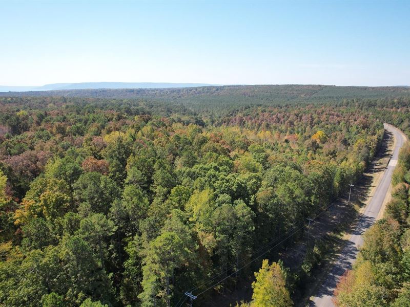 Brownsville Rd, Tract 2 : Greers Ferry : Cleburne County : Arkansas