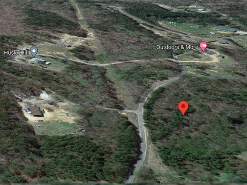 Beautiful Lot in Great Home Site : Nauvoo : Walker County : Alabama