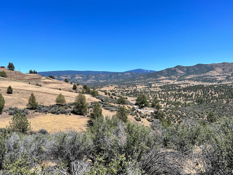 Escape The City & Enjoy The Wild : Hornbrook : Siskiyou County : California