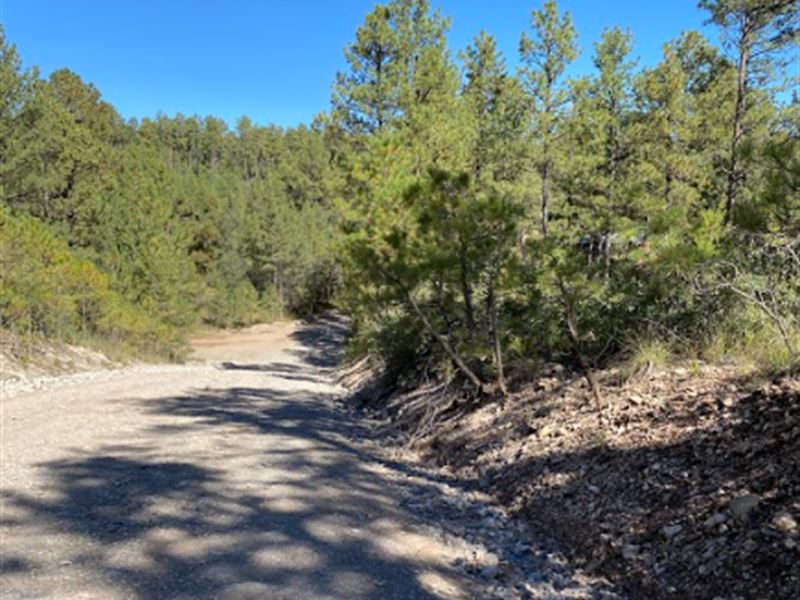 .51 Acre with Power Nearby : Timberon : Otero County : New Mexico