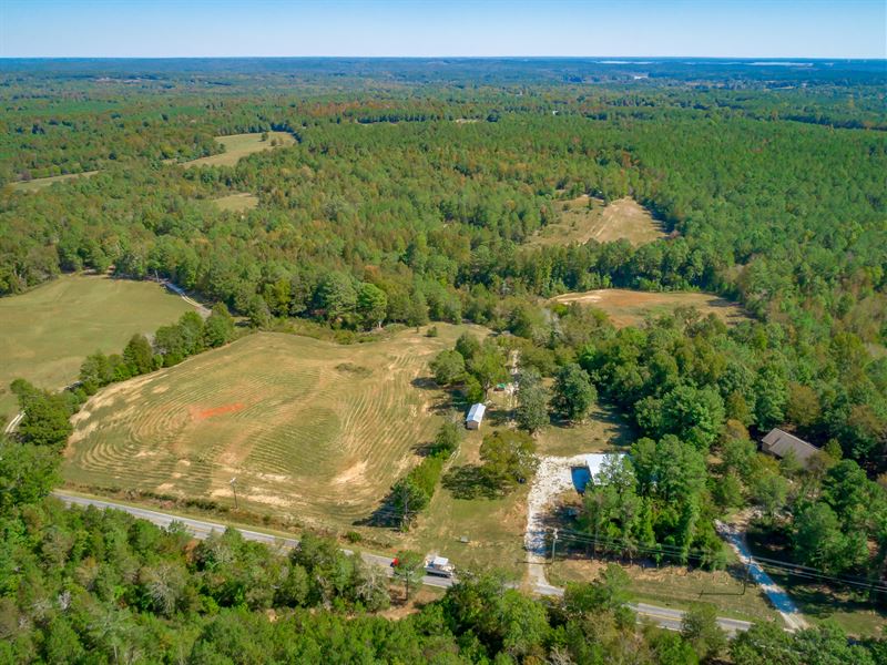 Hardwoods Overlooking The Meadow : Newberry : Newberry County : South Carolina