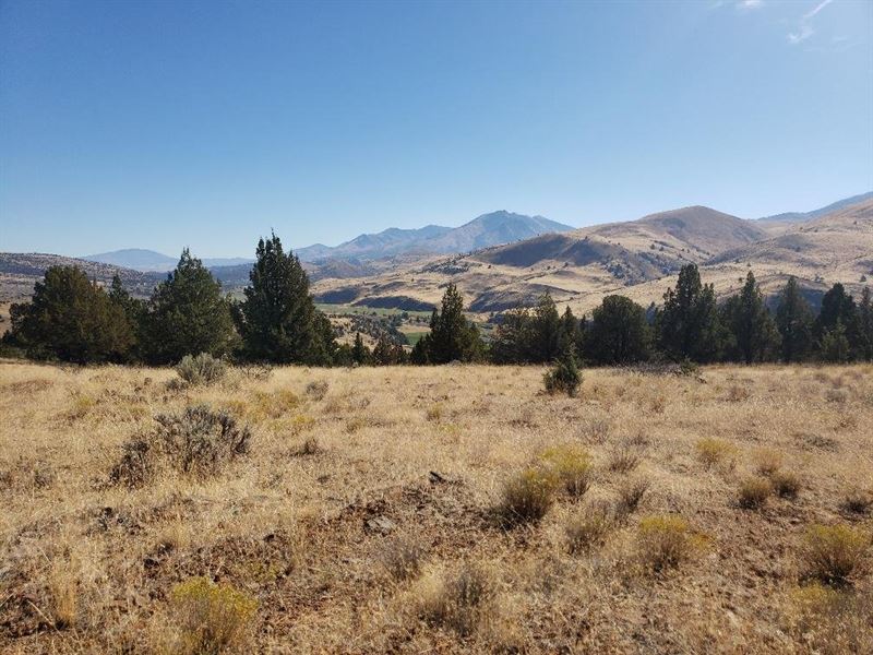 Wiley Creek Road Retreat, Land for Sale in Oregon, 335006 LANDFLIP