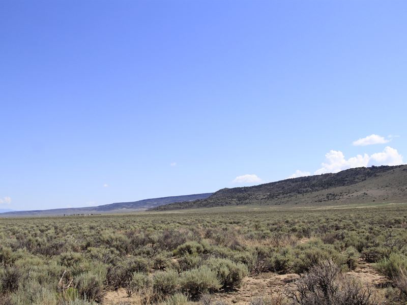 40 Acres in The Colorado Mountains : Colorado City : Costilla County : Colorado