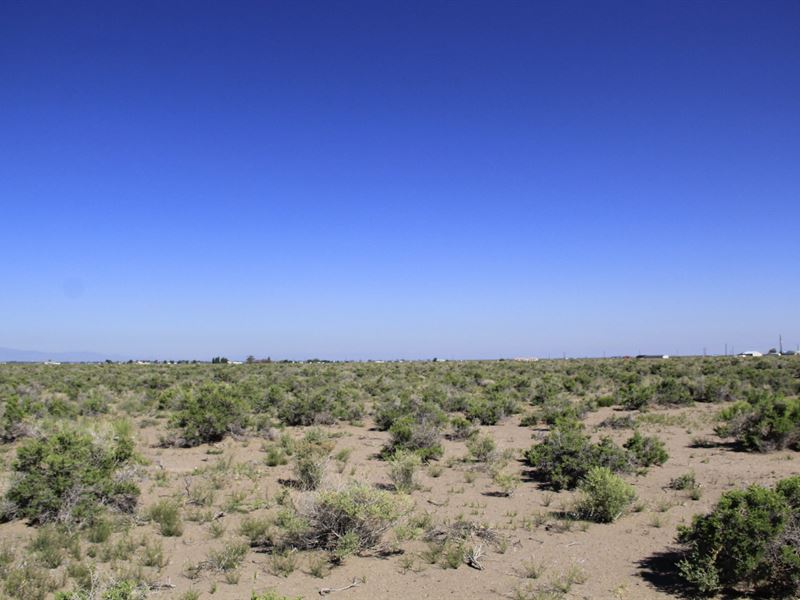 1.03 Acres in CO for Just $49 Down : Alamosa : Alamosa County : Colorado