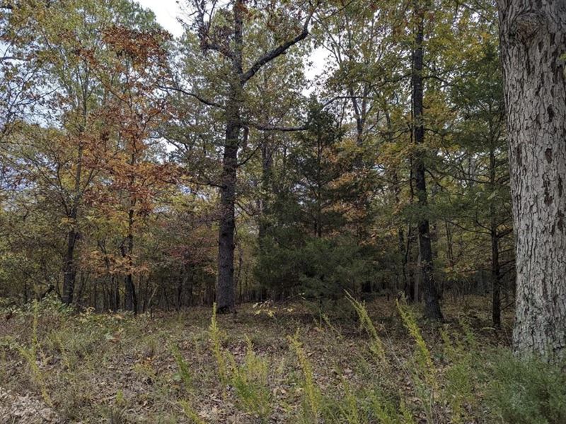 Ideal Building Site for Dream Home : Rogers : Benton County : Arkansas