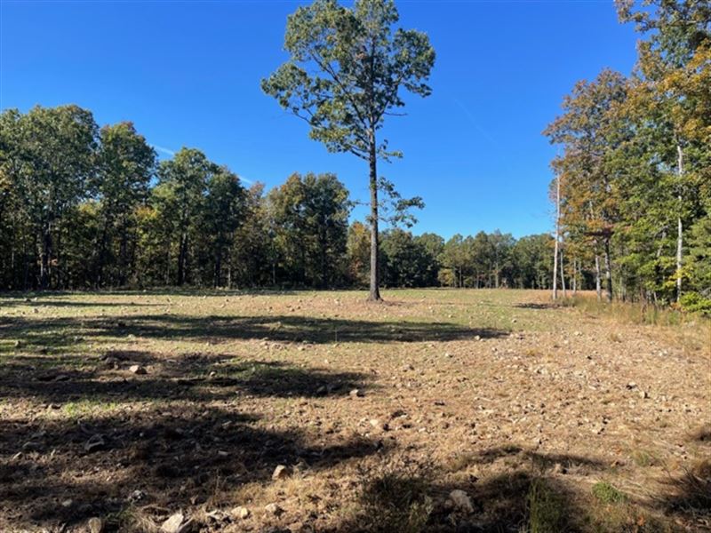Prime Hunting Land : Williford : Sharp County : Arkansas