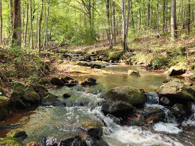 Lazer Creek, Pine Mountain Views : Shiloh : Talbot County : Georgia