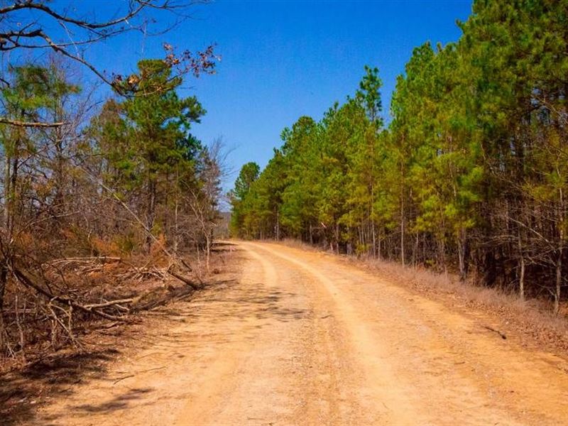 10.31 Acres in Latimer County, OK : Wilburton : Latimer County : Oklahoma