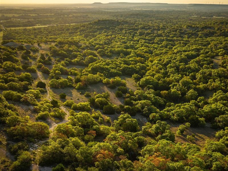 Stag Creek Ranch : Sidney : Comanche County : Texas