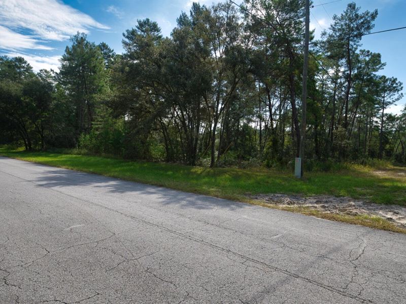 .67 Acre, Paved Road Access : Ocala : Marion County : Florida