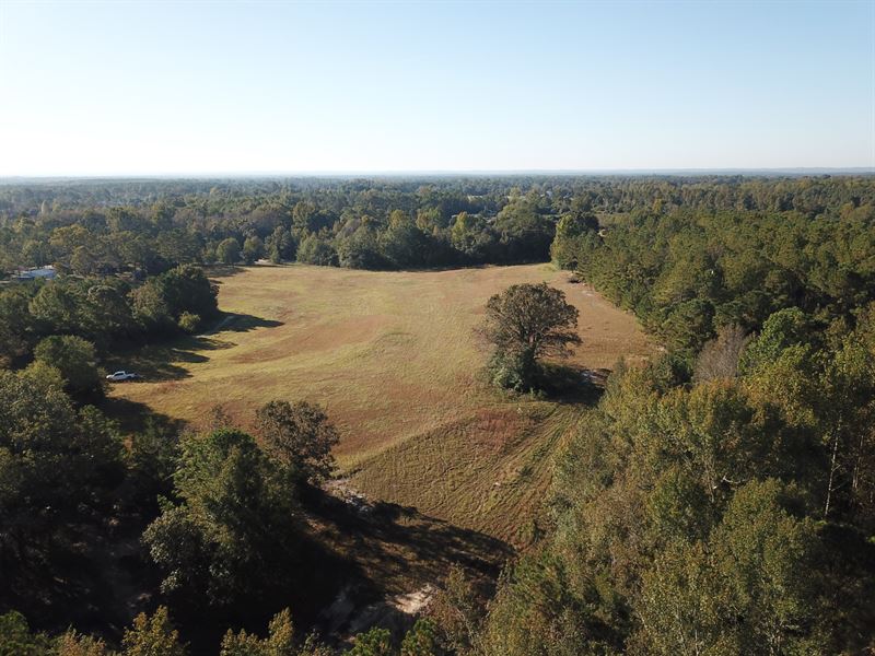 113 Ac Lee County, AL : Salem : Lee County : Alabama