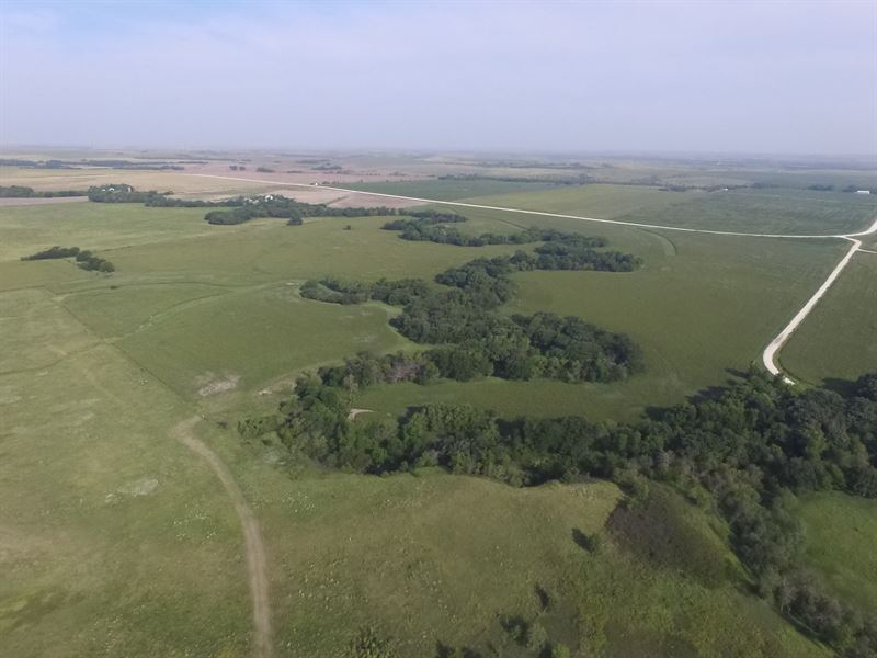 Kill Creek 276 : Osborne : Osborne County : Kansas