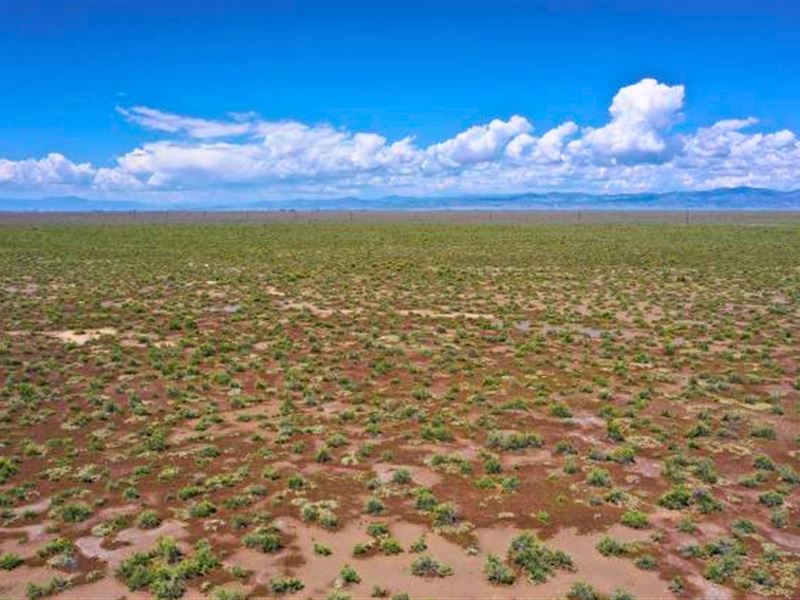 40 Ac in Co, Unplug and Unwind : Center : Saguache County : Colorado