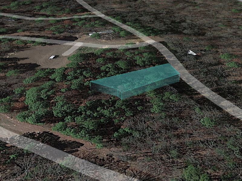 Spend Your Best Days on 0.17 Acre : Tx : Franklin County : Texas