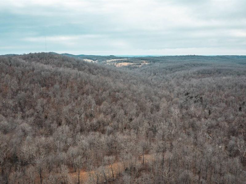 Arkansas Awaiting Tract 3 : Mountain Home : Baxter County : Arkansas