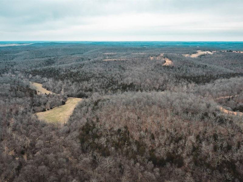 Arkansas Awaiting Tract 4 : Mountain Home : Baxter County : Arkansas