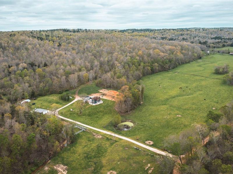 Bee Fork Hideaway : Centerville : Reynolds County : Missouri
