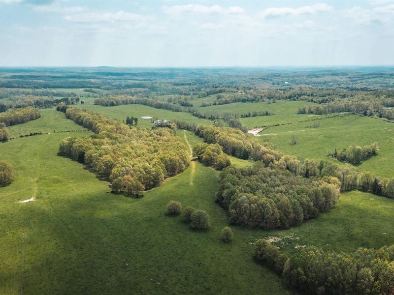 Circle T Ranch : Licking : Texas County : Missouri