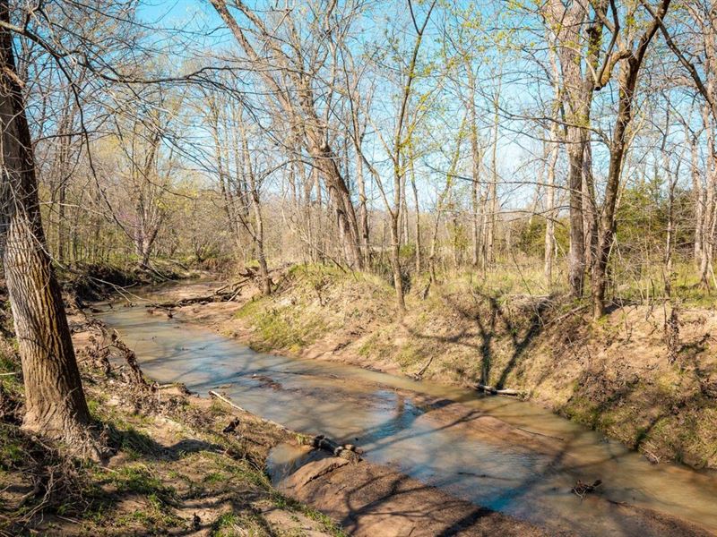 Whitetail 130 : Madison : Monroe County : Missouri