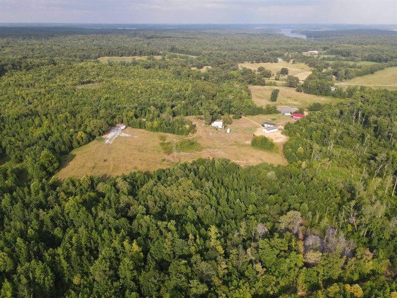Ky/Tn State Line Building Lot Near : New Concord : Calloway County : Kentucky