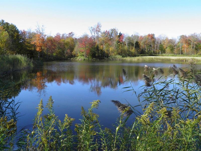 Gallo Family Retreat : West Leyden : Lewis County : New York