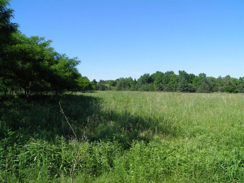 Harbor Meadows Commercial : Henderson : Jefferson County : New York