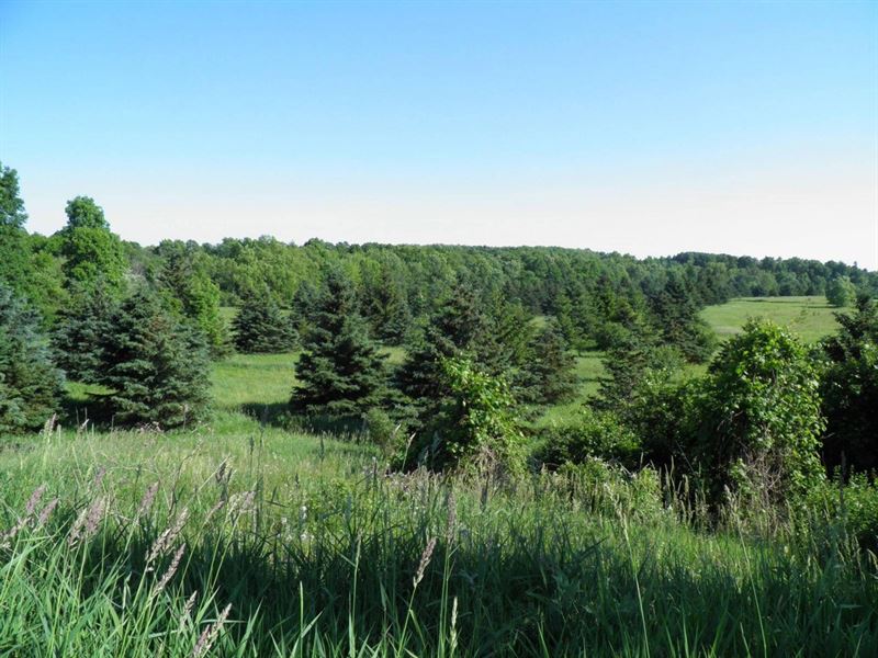 Harbor Meadows Subdivision : Henderson : Jefferson County : New York