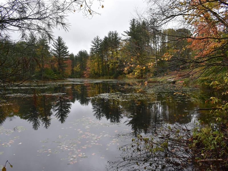 Bud Lee Pond : Altmar : Oswego County : New York