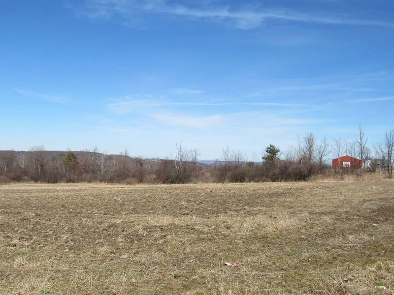 Hunter Homesite : Beaver Dams : Schuyler County : New York