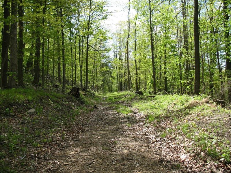 Indian Mill : Clearfield : Clearfield County : Pennsylvania