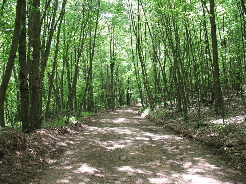 The Mountain Property : Lock Haven : Clinton County : Pennsylvania
