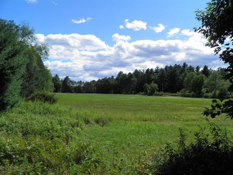 Black River Valley Forest : Lowville : Lewis County : New York