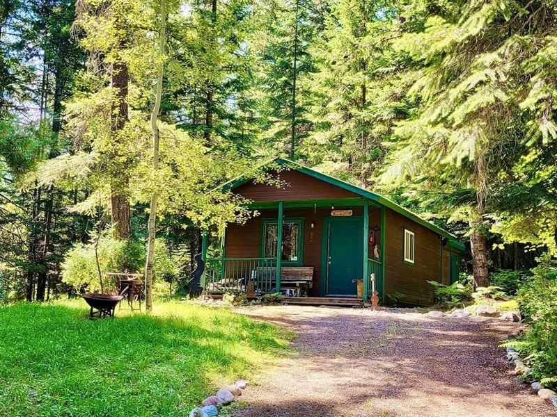 Whitepine Creek Off-Grid Escape : Trout Creek : Sanders County : Montana