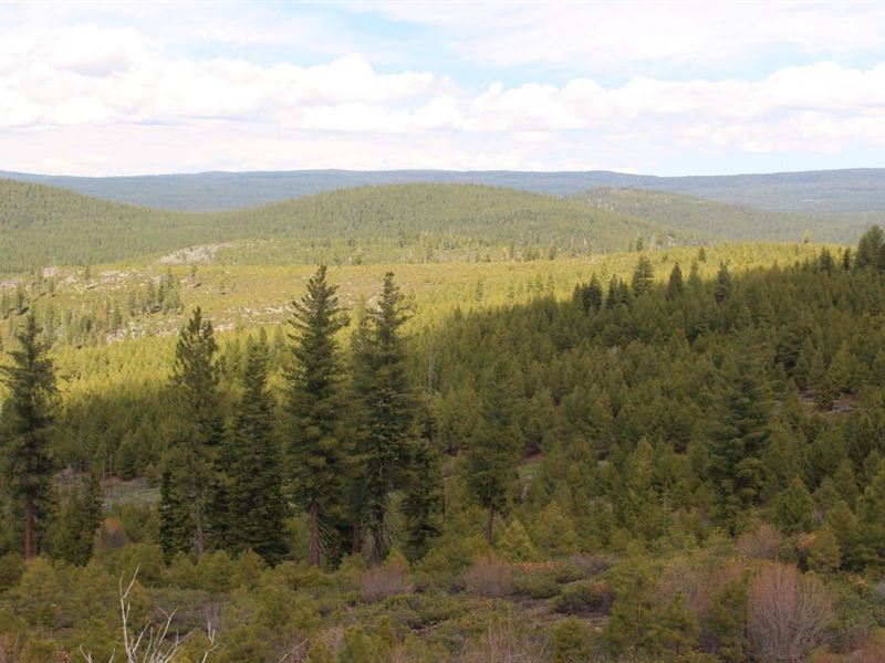 Quartz Mtn. Pass, 157.86 Acres : Lakeview : Lake County : Oregon