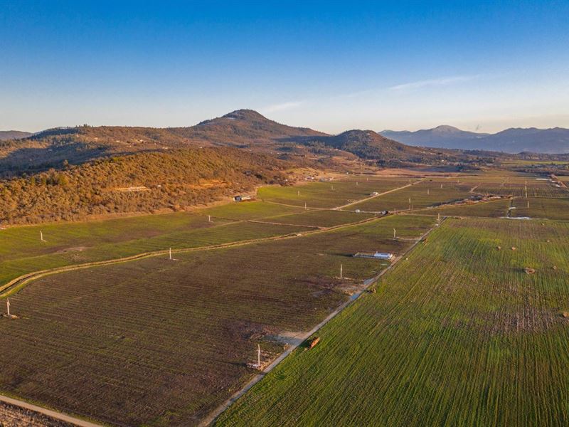 Foothills Irrigated Farm, North : Medford : Jackson County : Oregon