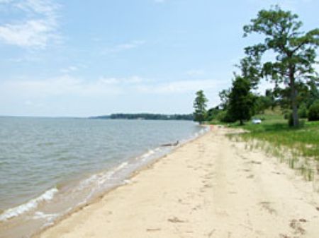 Swann's Point Plantation : Surry : Surry County : Virginia