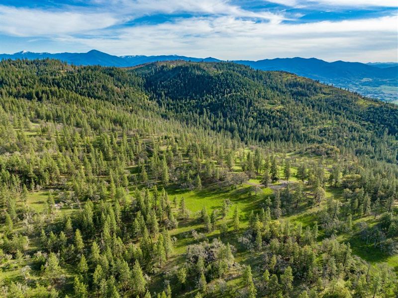 Mount Baldy Ranch : Medford : Jackson County : Oregon
