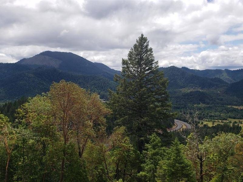 250 Leland Rd : Wolf Creek : Josephine County : Oregon