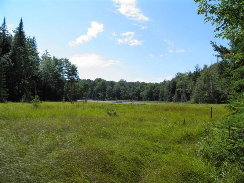 Point Rock Creek Country : West Leyden : Lewis County : New York