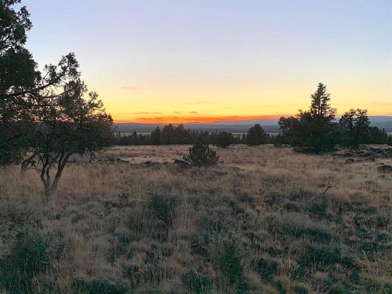 Sycan Marsh Lot 1 : Paisley : Lake County : Oregon