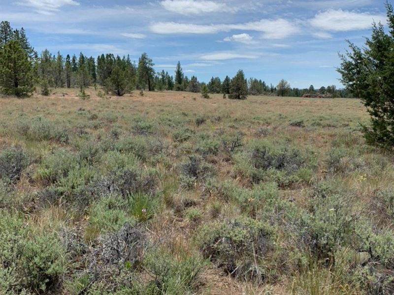Sycan Marsh Lot 2 : Paisley : Lake County : Oregon