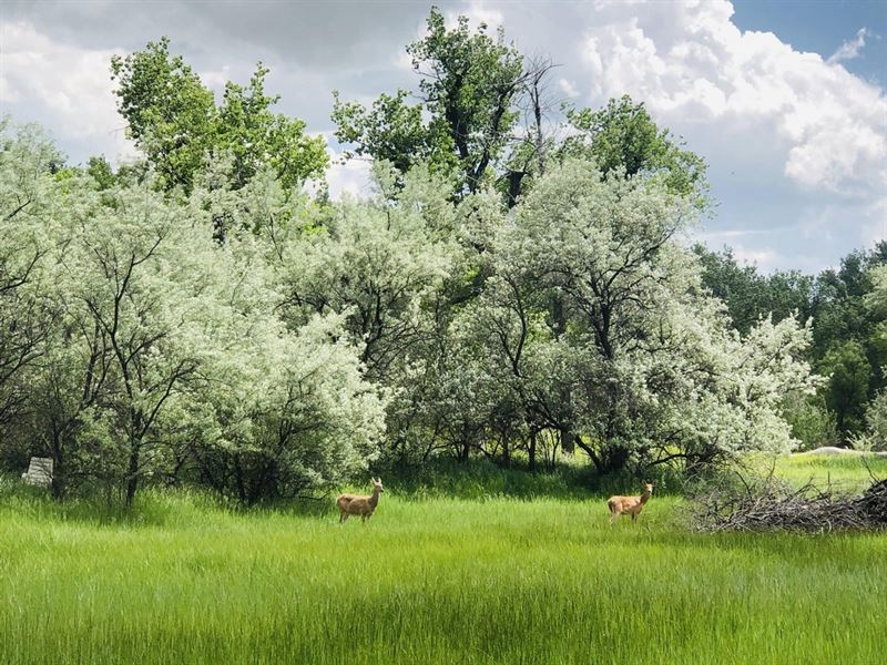 Lower River Road, Lot 11A : Great Falls : Cascade County : Montana
