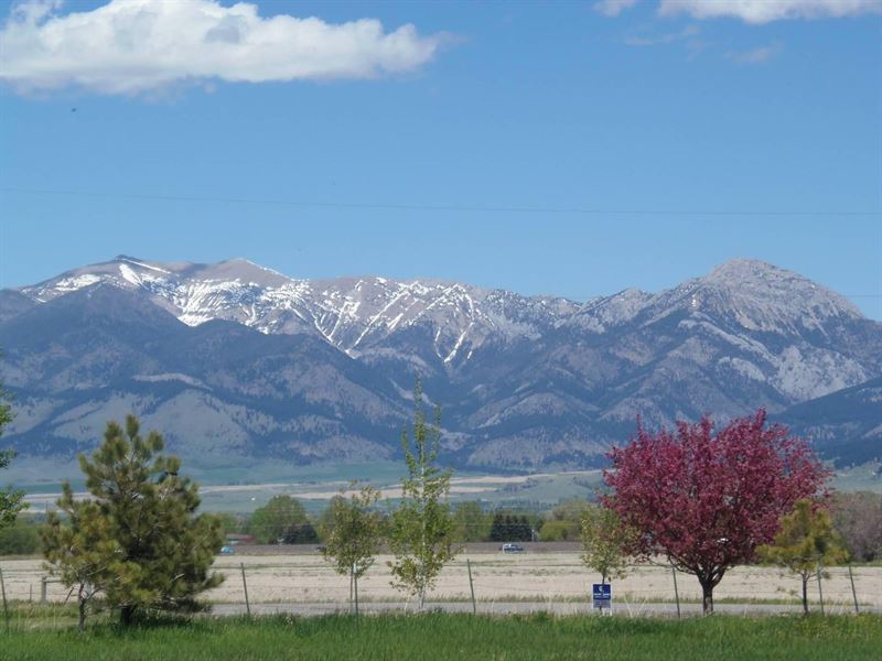 Heavenly Harper Puckett Road Ranche : Bozeman : Gallatin County : Montana